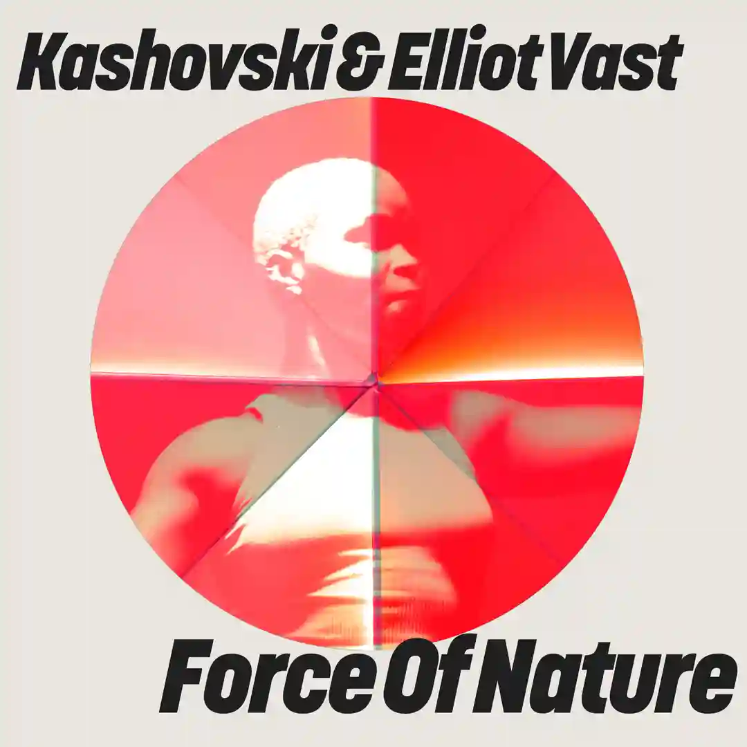 Force Of Nature cover