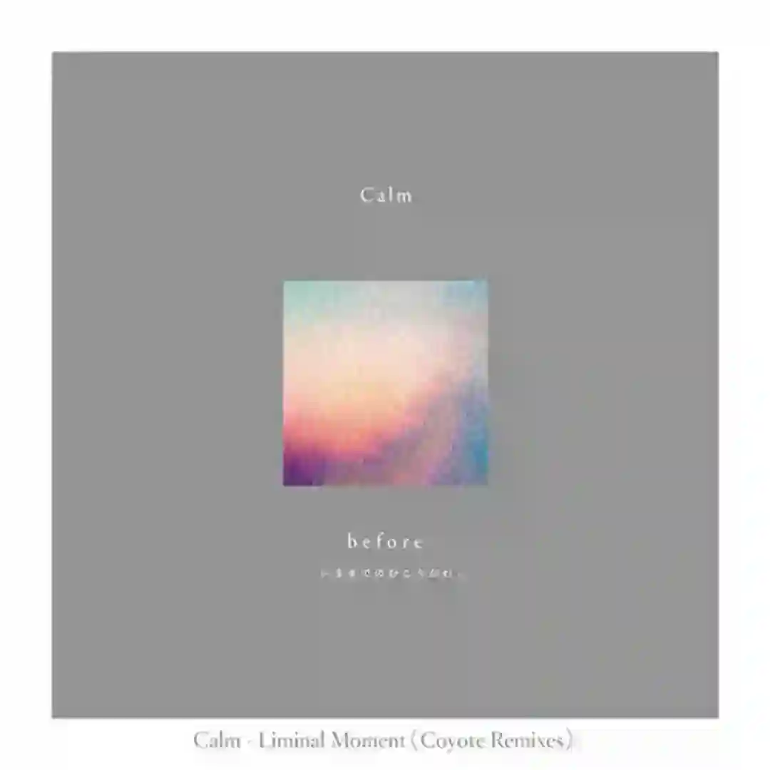 Liminal Moment (Coyote Dream Mix) cover