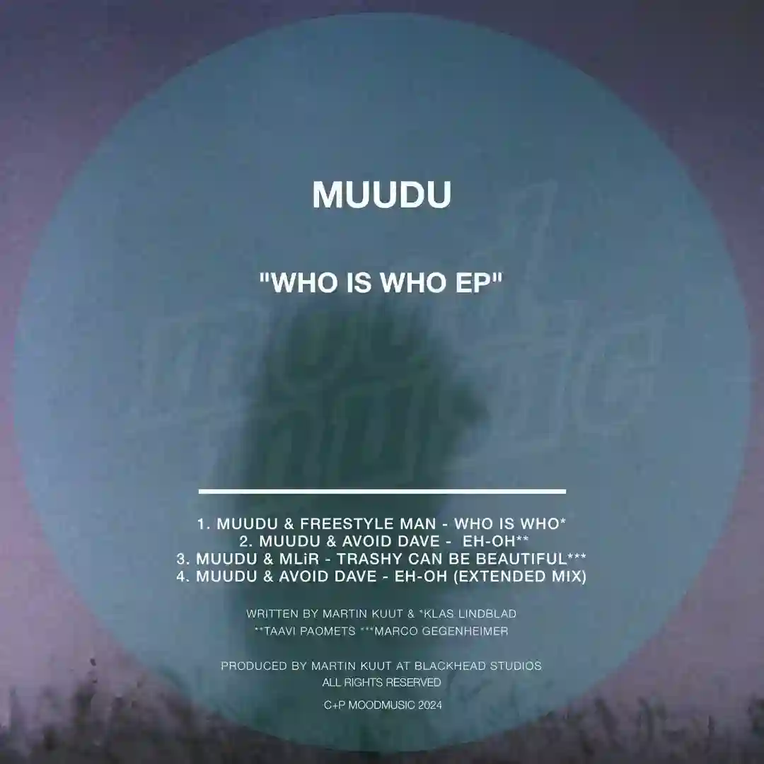 Who Is Who (Original Mix) cover