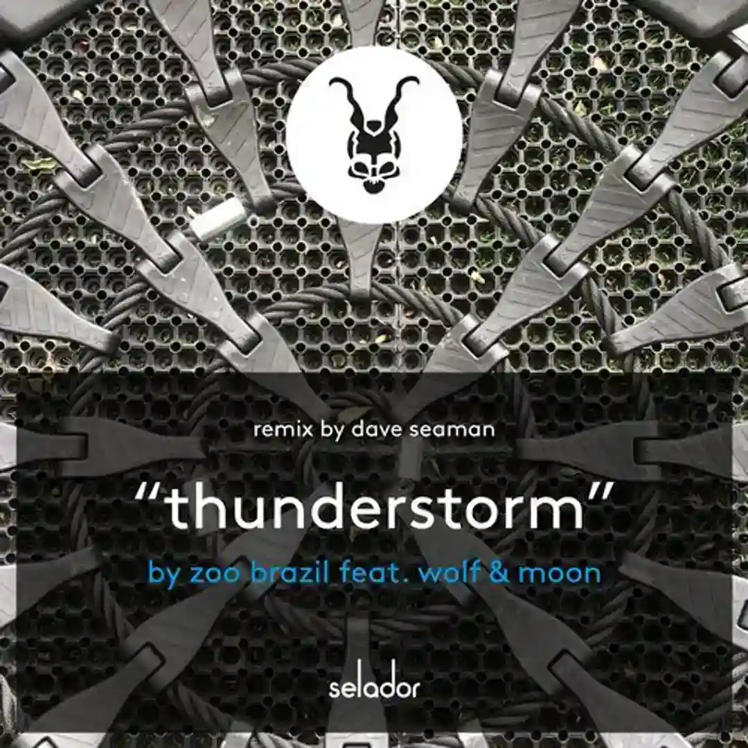 Thunderstorm (Zoo Brazil Club Mix) cover