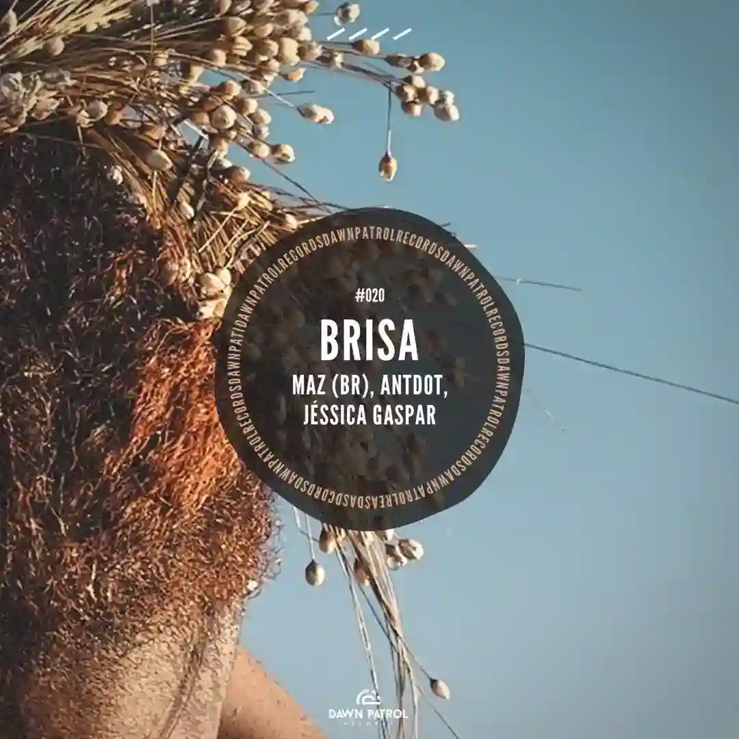 Brisa cover