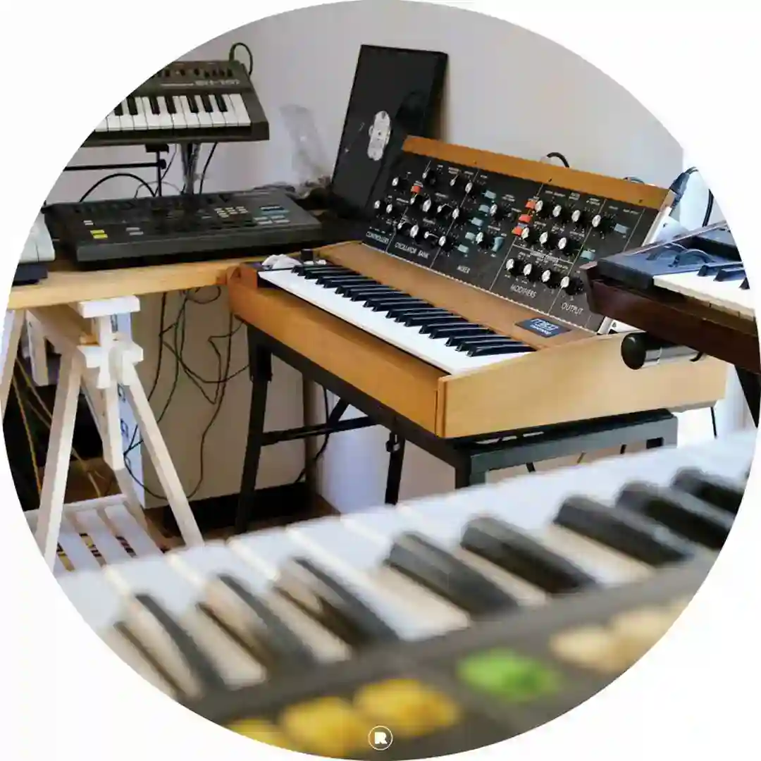 SP12 Electric Mistress (303 Version) cover