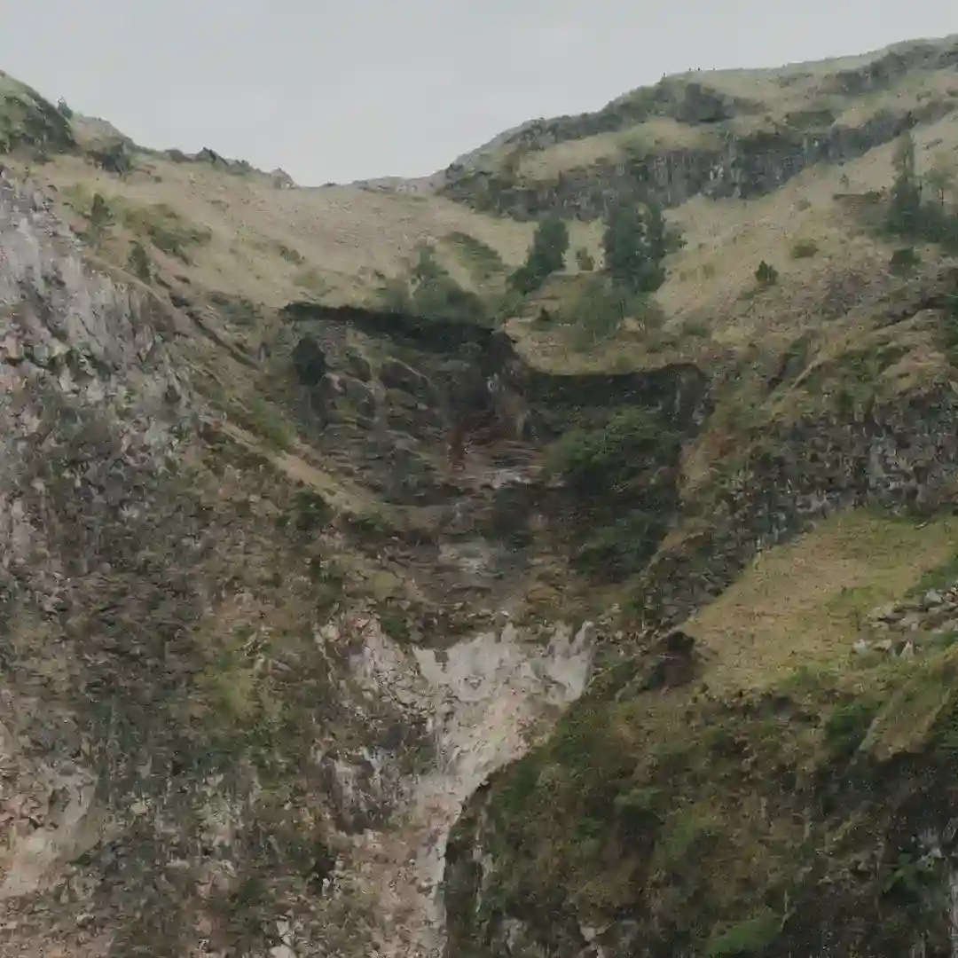 Archive cover