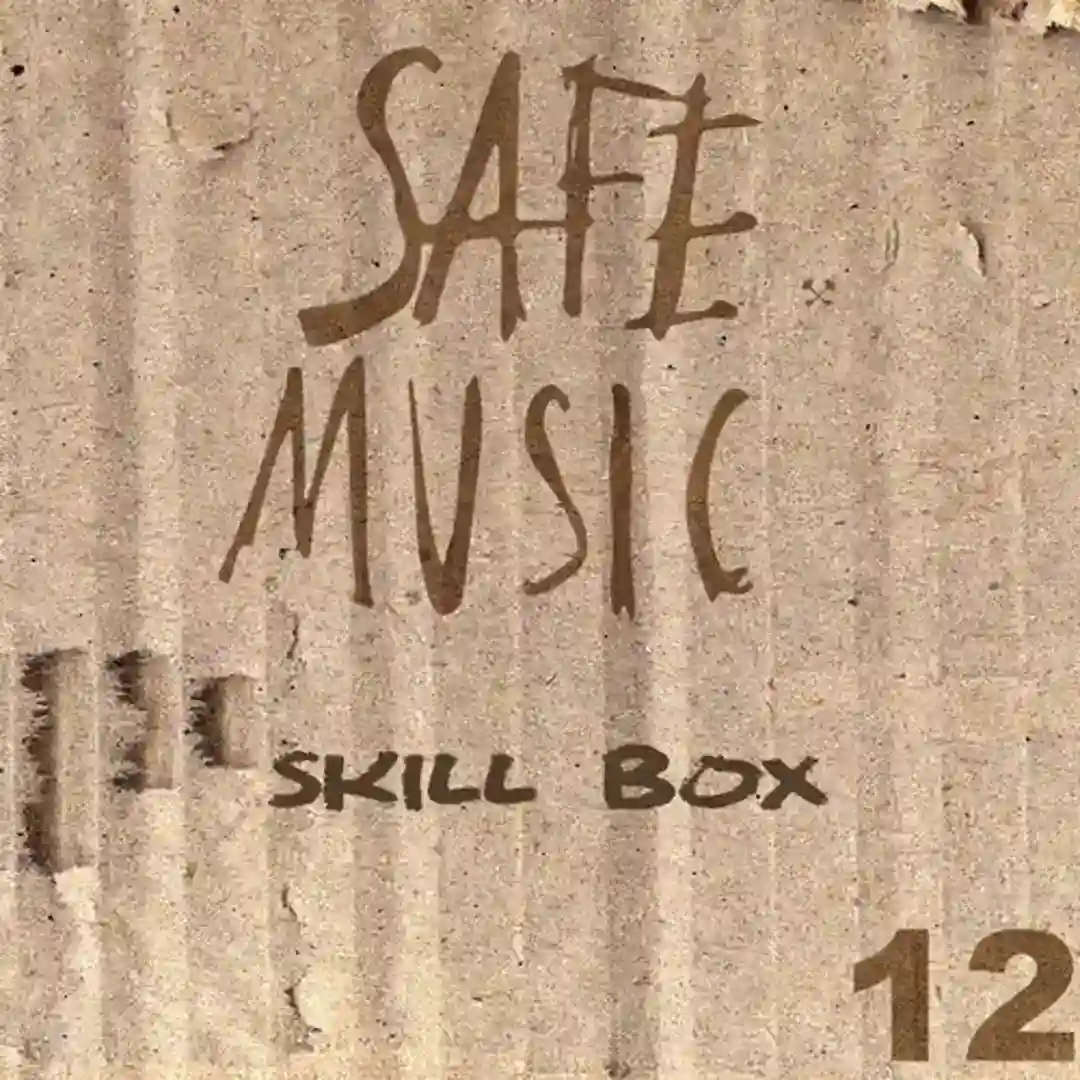 Skill Box, Vol.12 cover