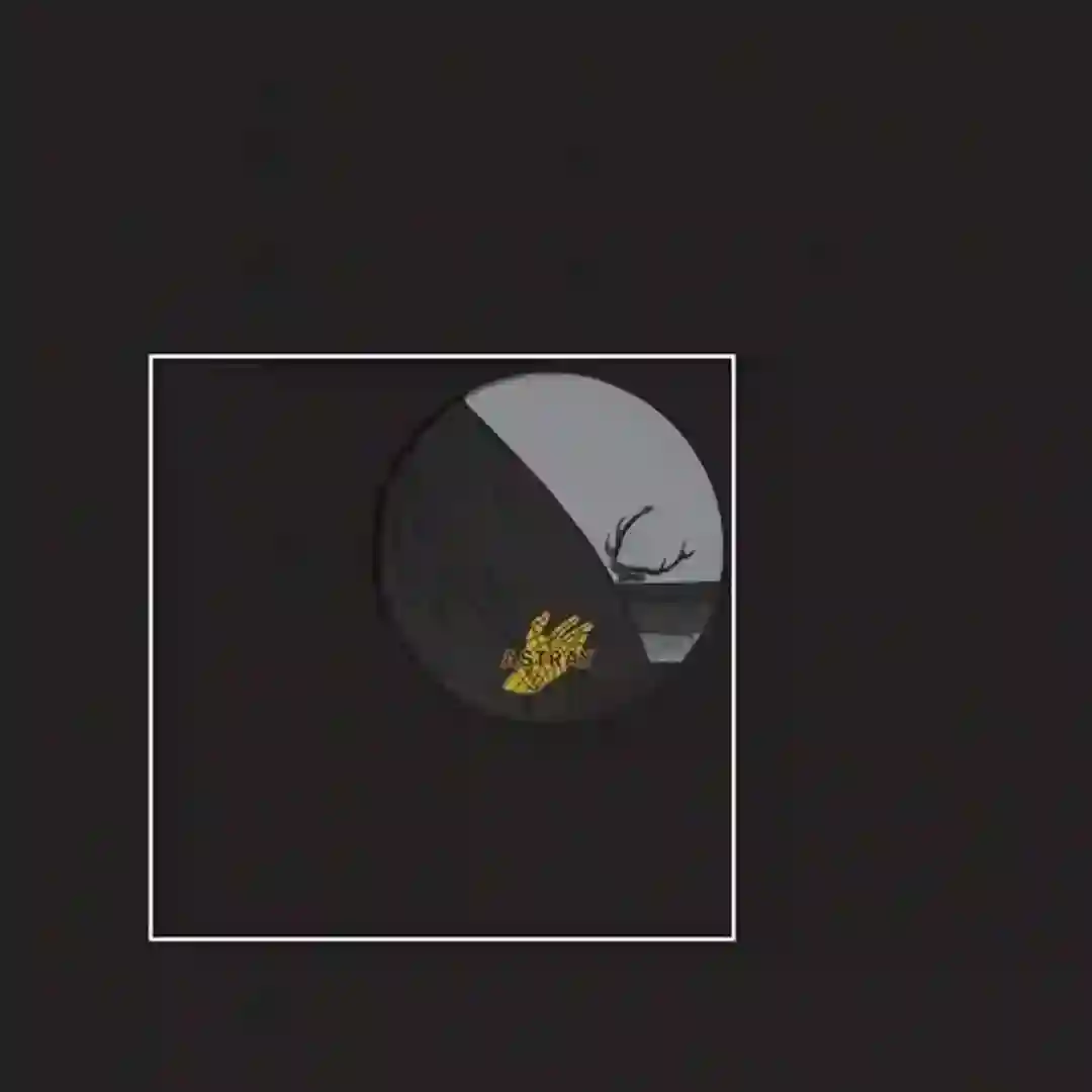 Wild Hunt (Original Mix) cover