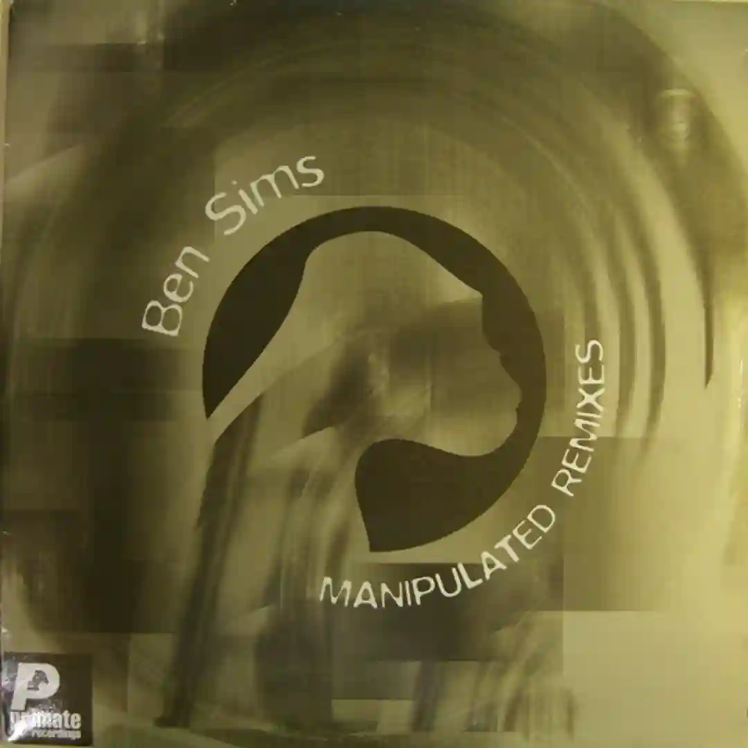 Manipulated (Joel Mull Remix) cover