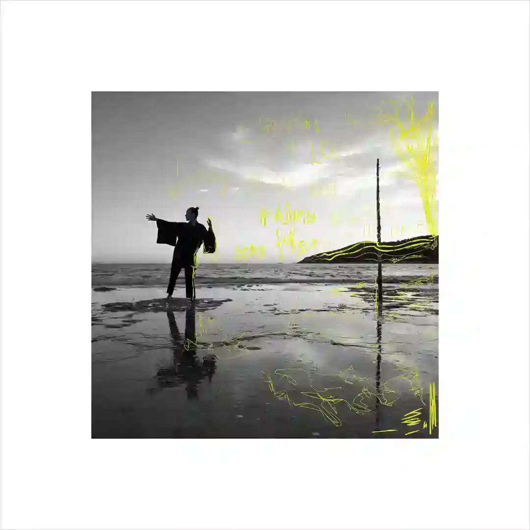 STAINS (Extended Version) cover