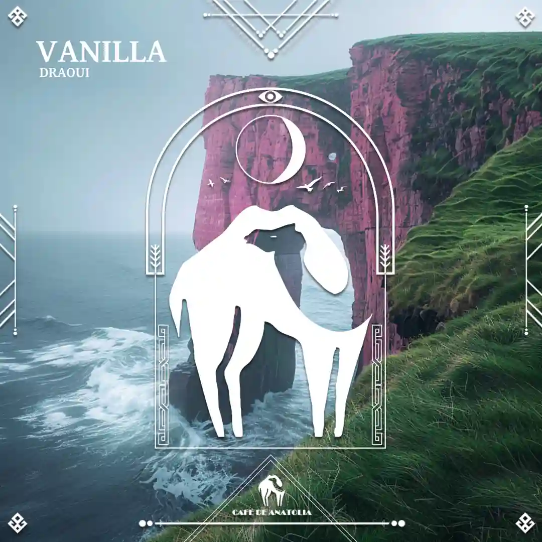 Vanilla (Original Mix) cover