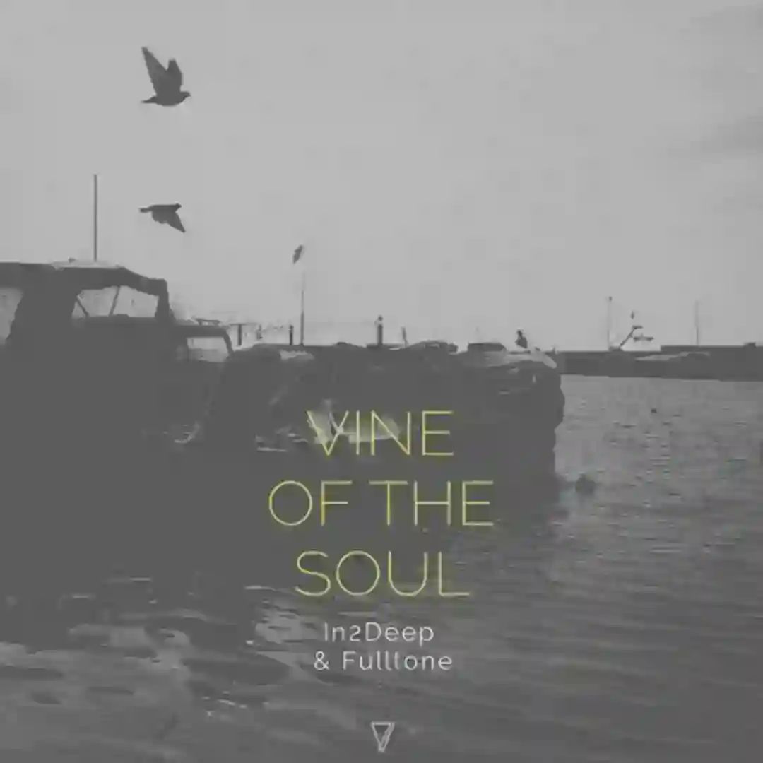 Vine of the Soul (Powel Remix) cover