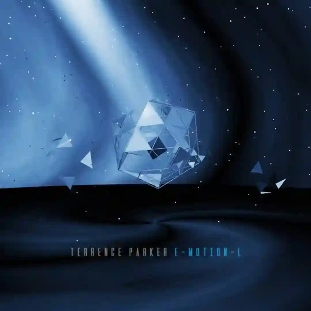 Snow Flake Dance cover