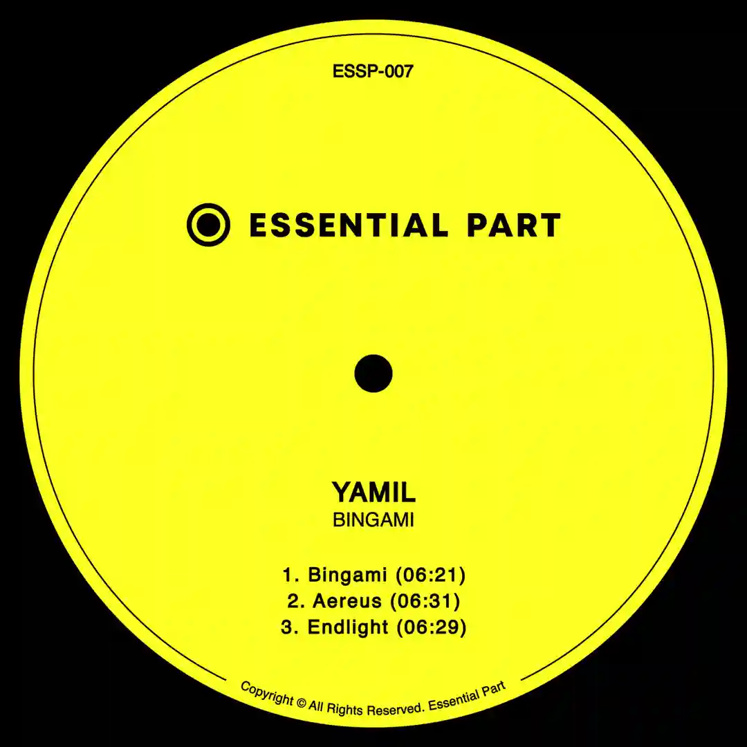 Bingami cover