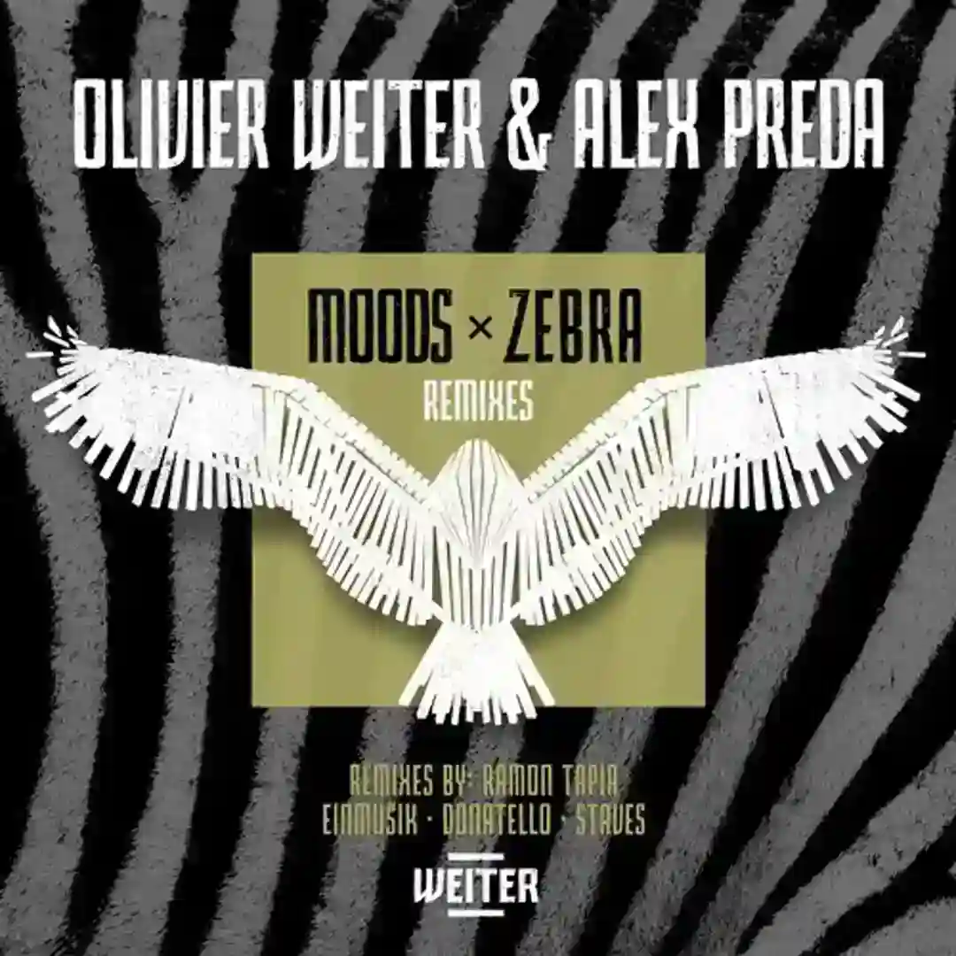 Zebra (Original Mix) cover