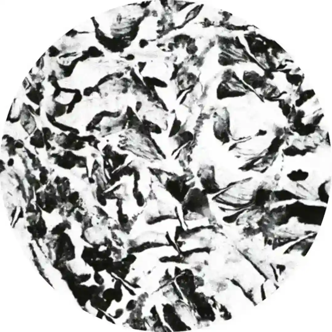 Zanziba (Levon Vincent Remix) cover