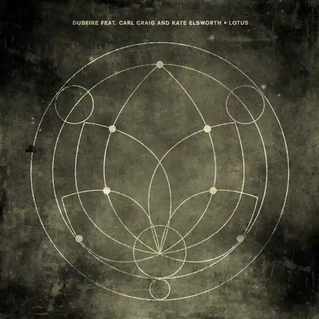 Lotus cover