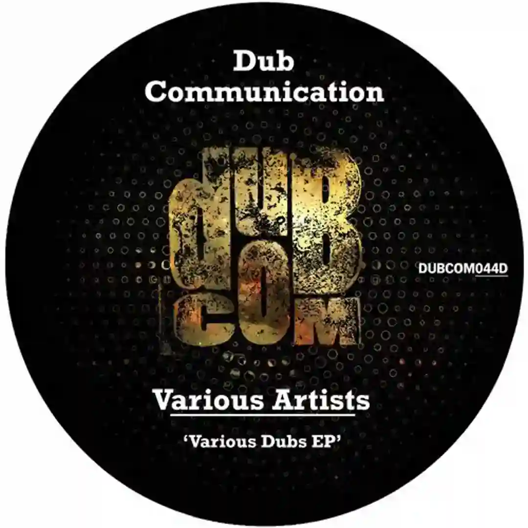 Sub Zero Dub (Original Mix) cover