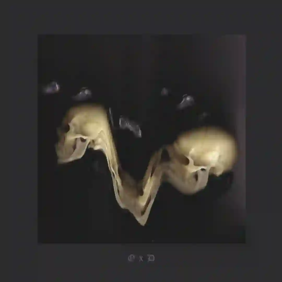 Optimistic Decay cover