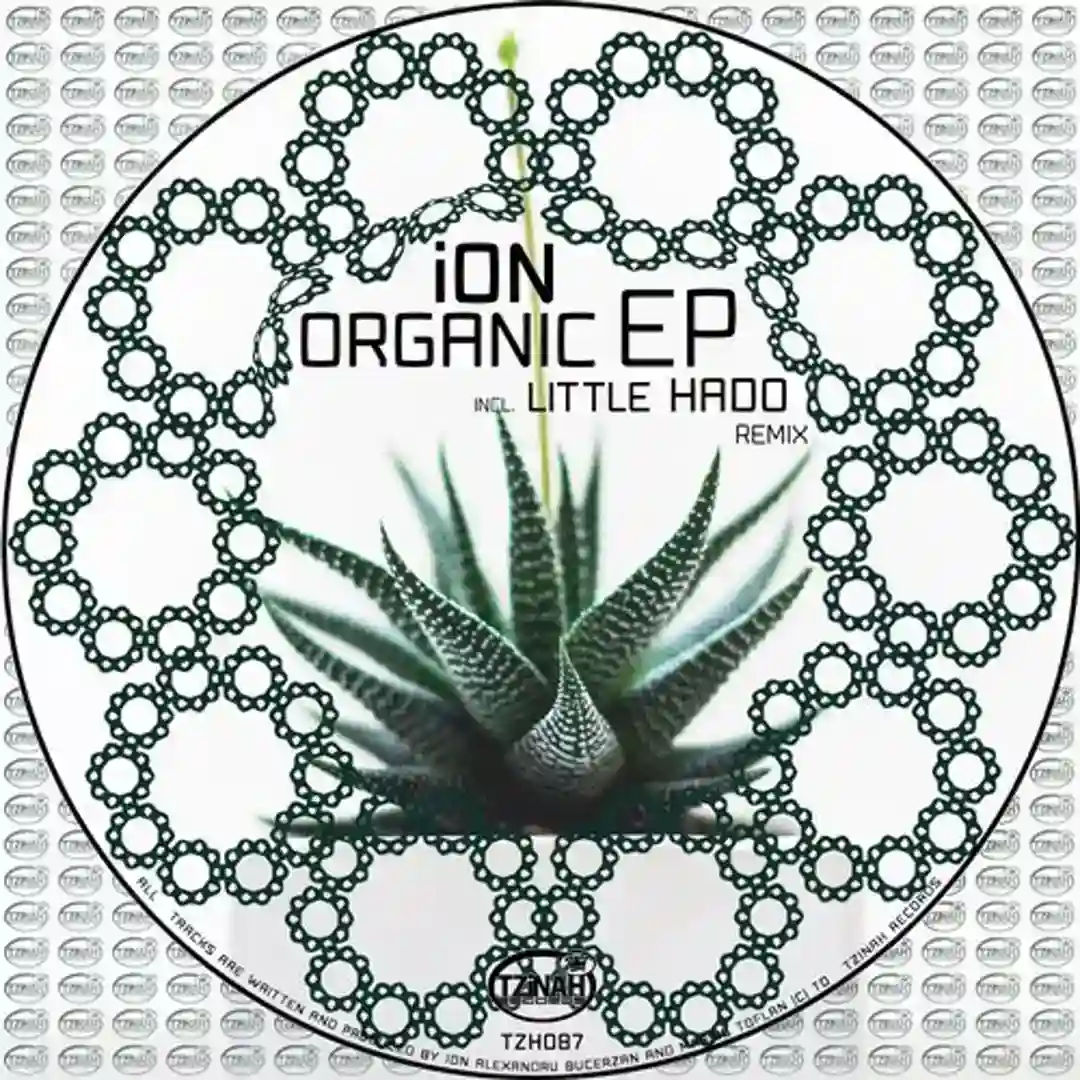 Organic (Original Mix) cover