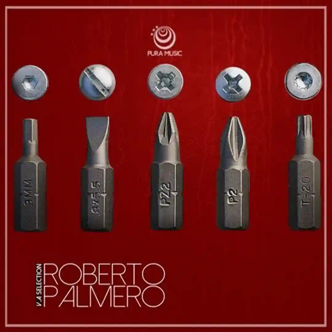 The True (Original Mix) cover