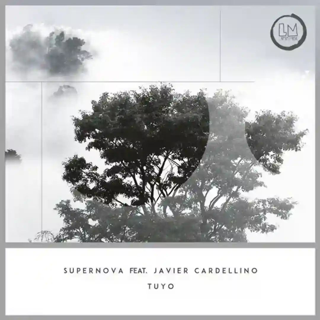 Tuyo feat. Javier Cardellino (Original Mix) cover