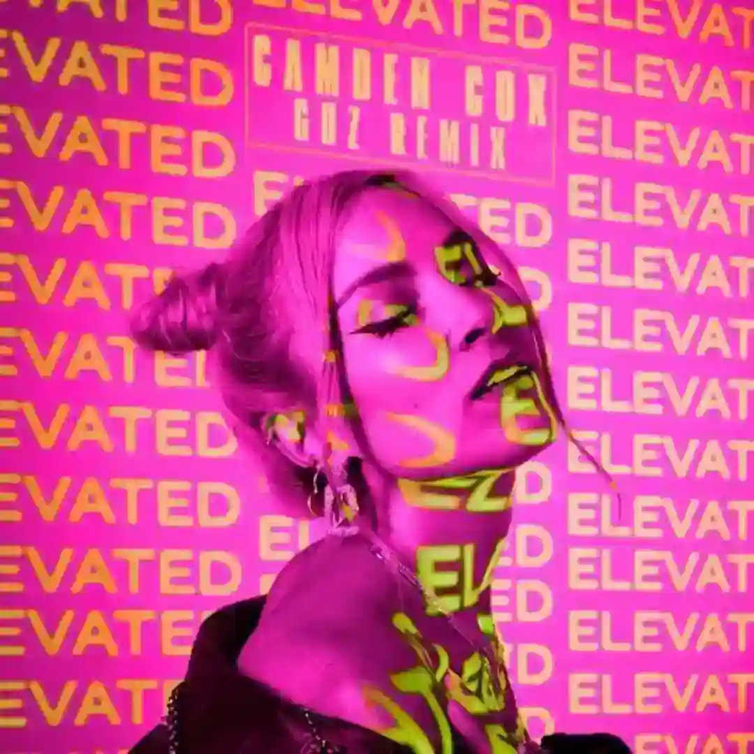 Elevated (Guz Remix - Extended) cover