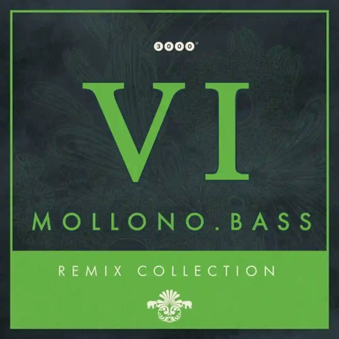 Home (Mollono.Bass Remix) cover