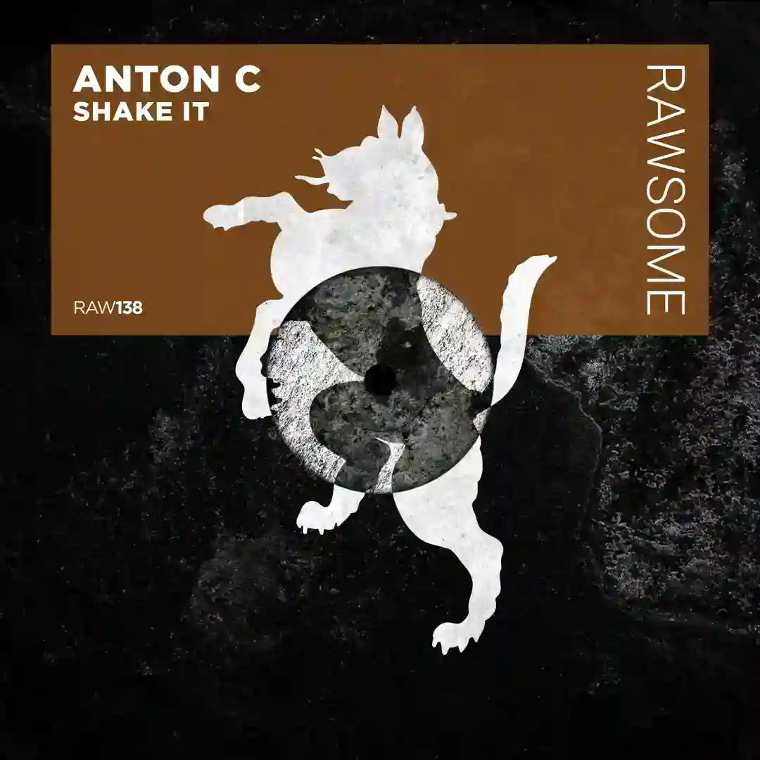 Shake It cover