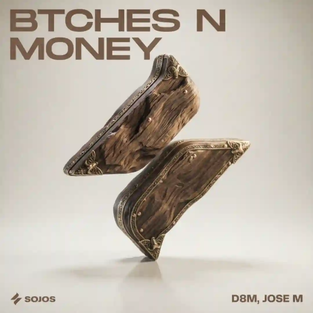 Btches N Money (Extended Mix) cover