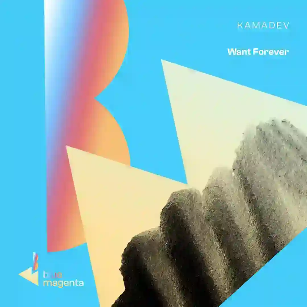 Want Forever cover
