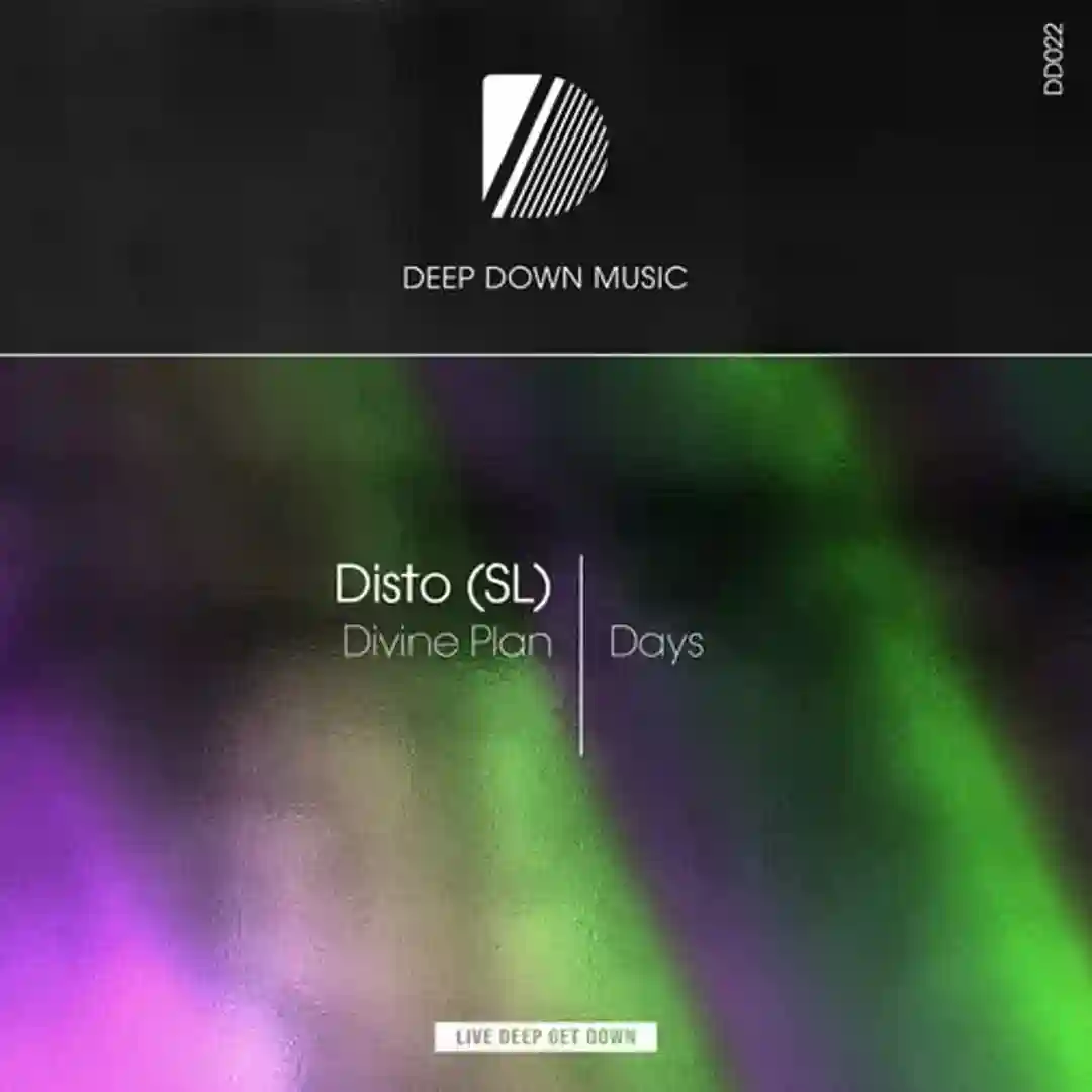 Divine Plan (Original Mix) cover
