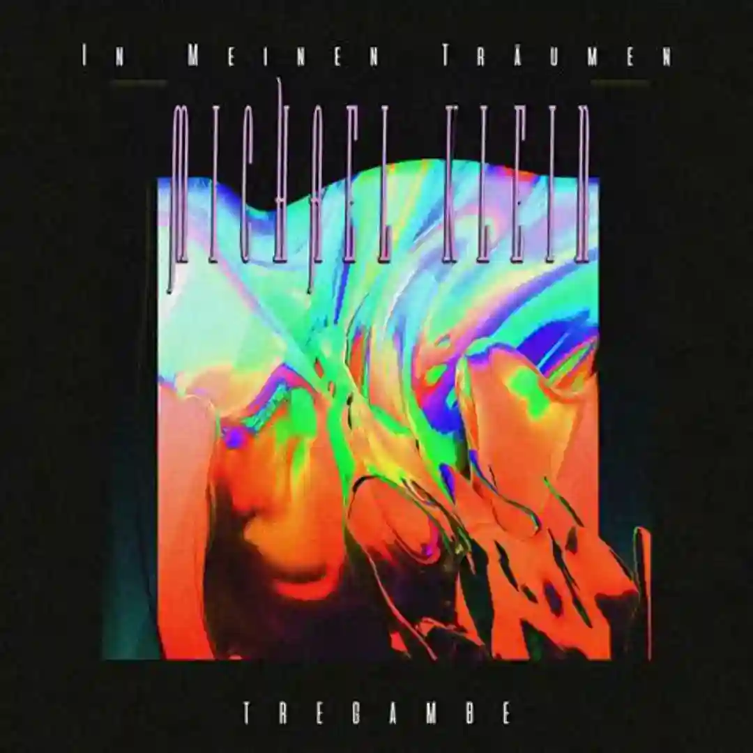 In Meinen Traumen cover