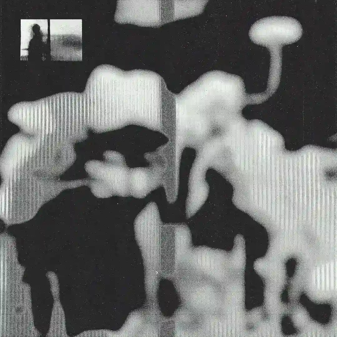 Weird Looking Fellah (Original Mix) cover