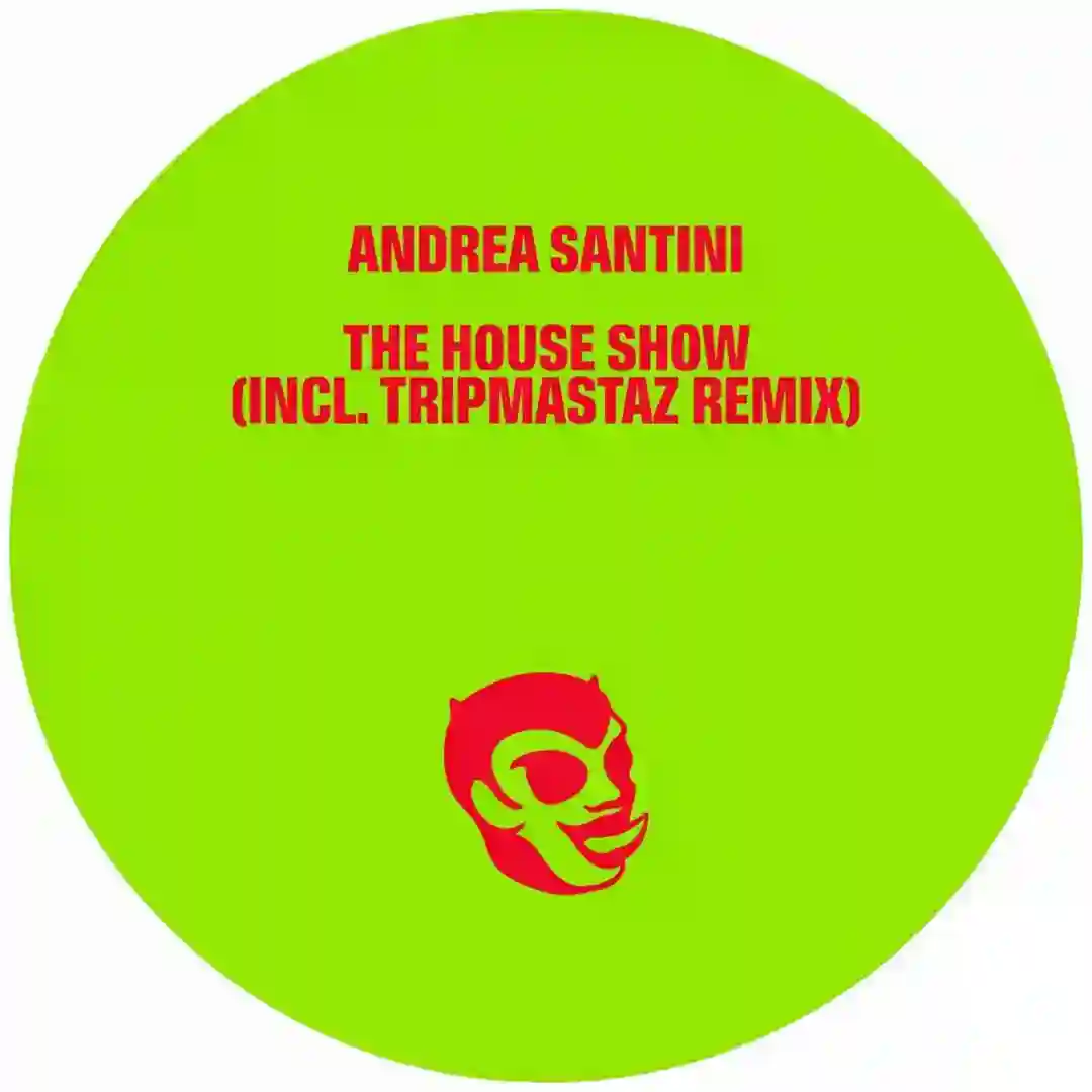 The House Show (Original Mix) cover