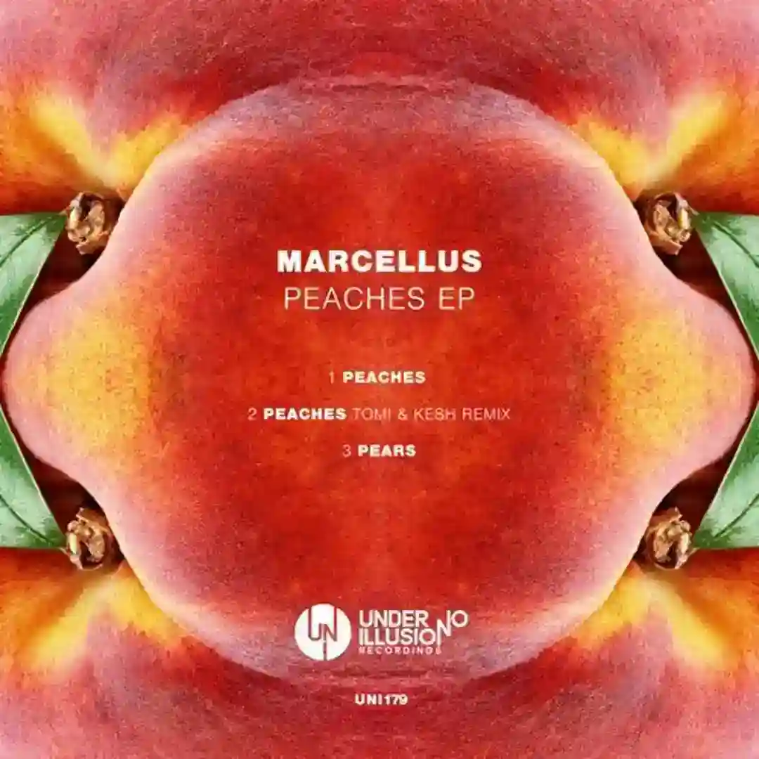 Peaches (Tomi&Kesh Remix) cover