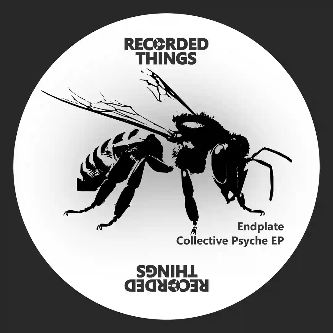 Non-Linear Process (Original Mix) cover