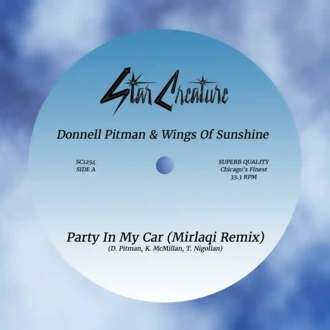 Party In My Car (Mirlaqi Remix) cover