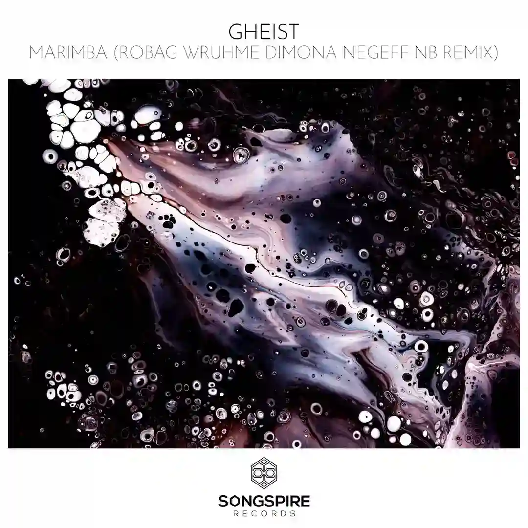 Marimba - Robag Wruhme Dimona Negeff NB Remix cover