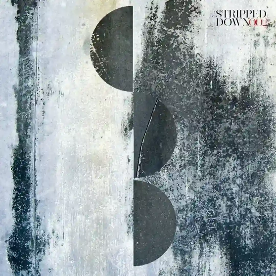 Missing Link (Claudio Ricci Remix) cover