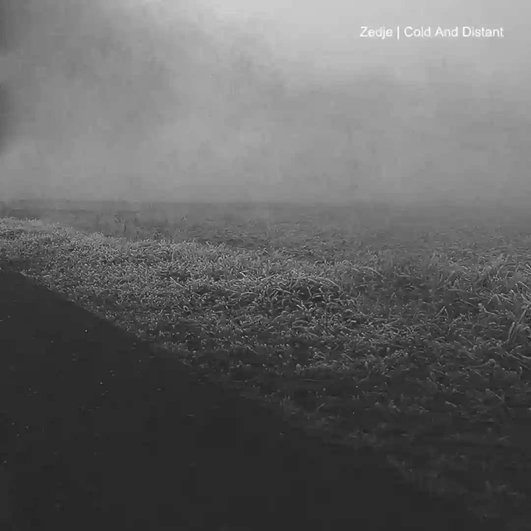 Cold And Distant cover