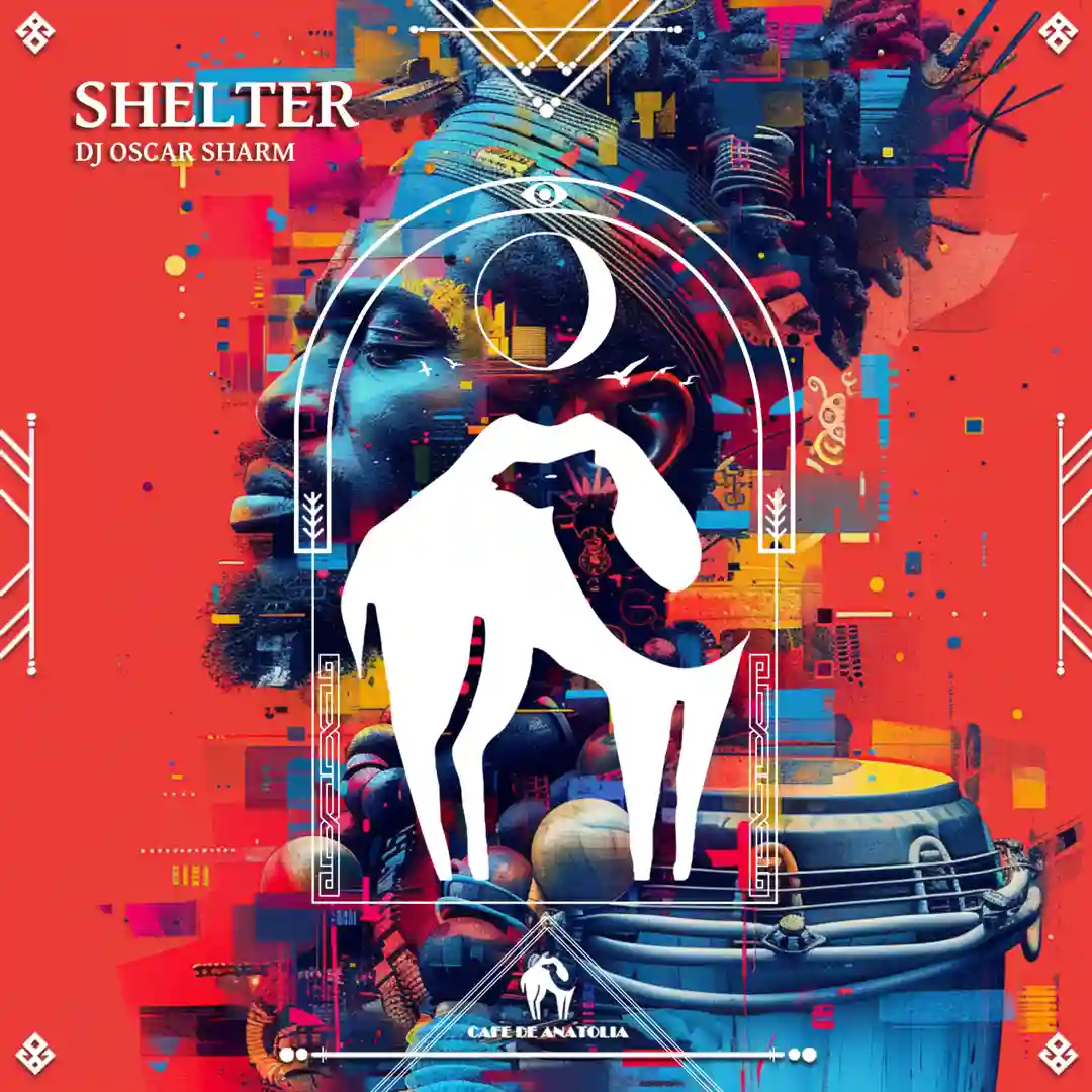 Shelter (Original Mix) cover