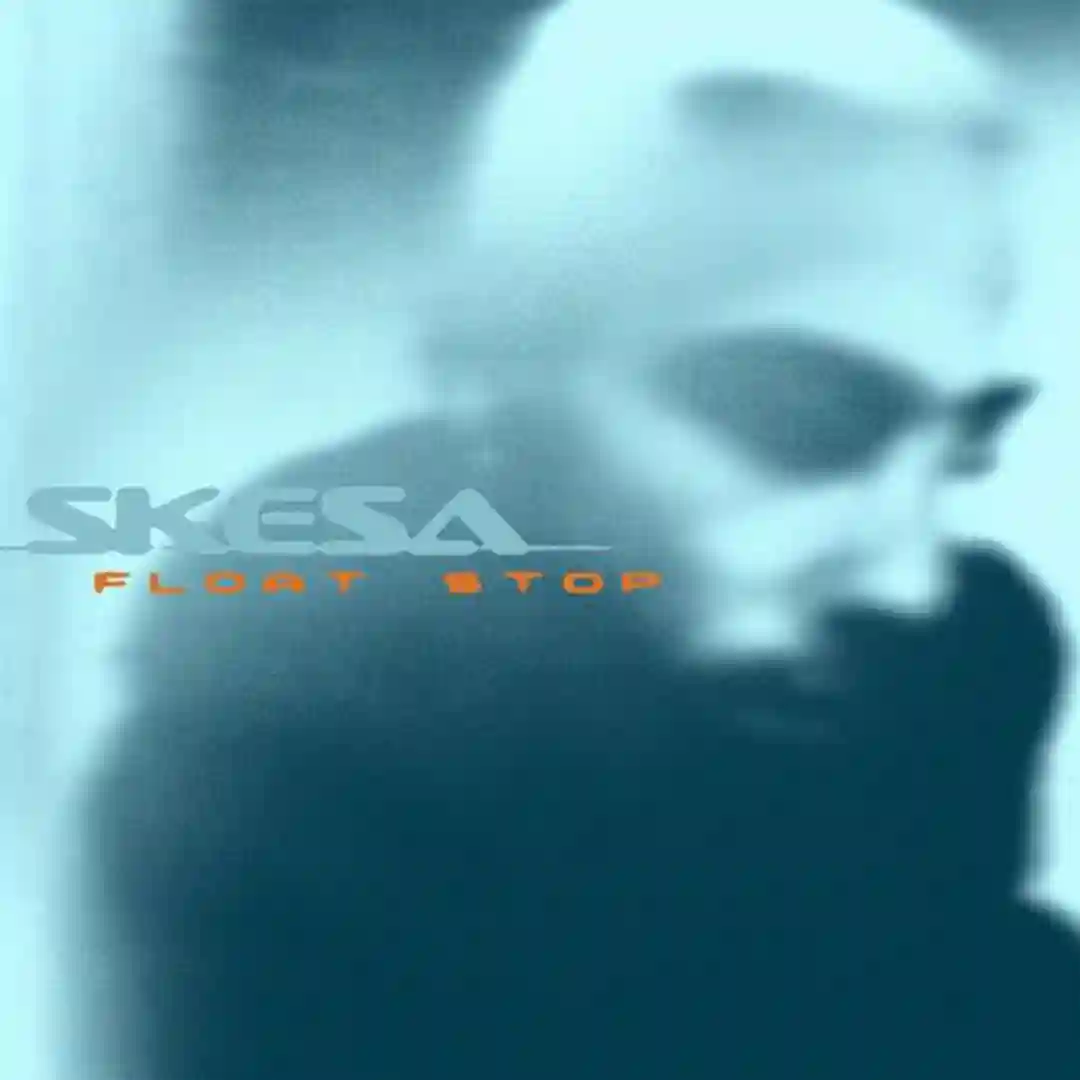 Flashback cover