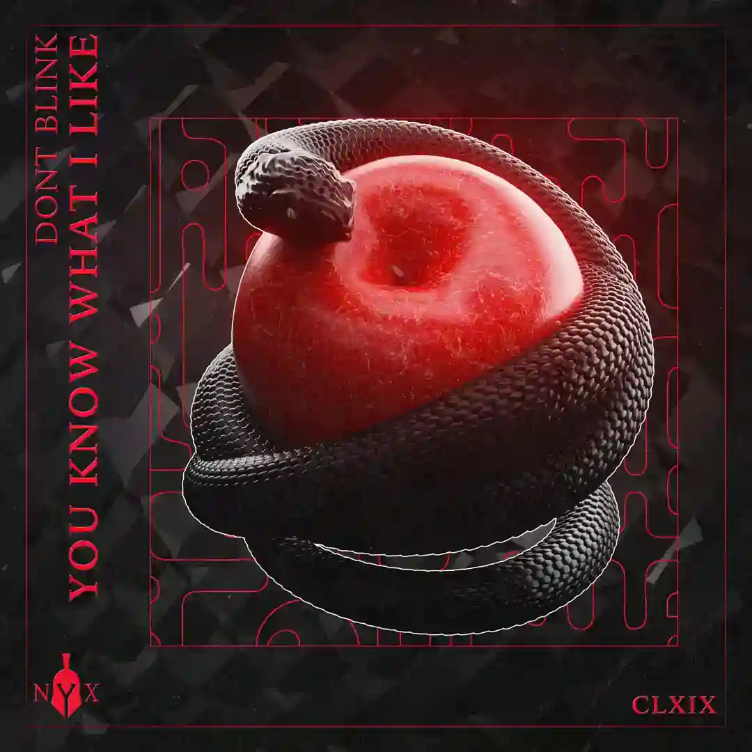 YOU KNOW WHAT I LIKE cover