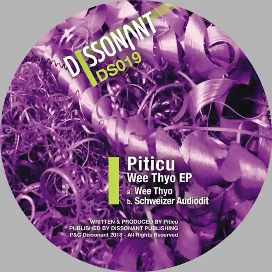Schweizer Audiodit (Original Mix) cover