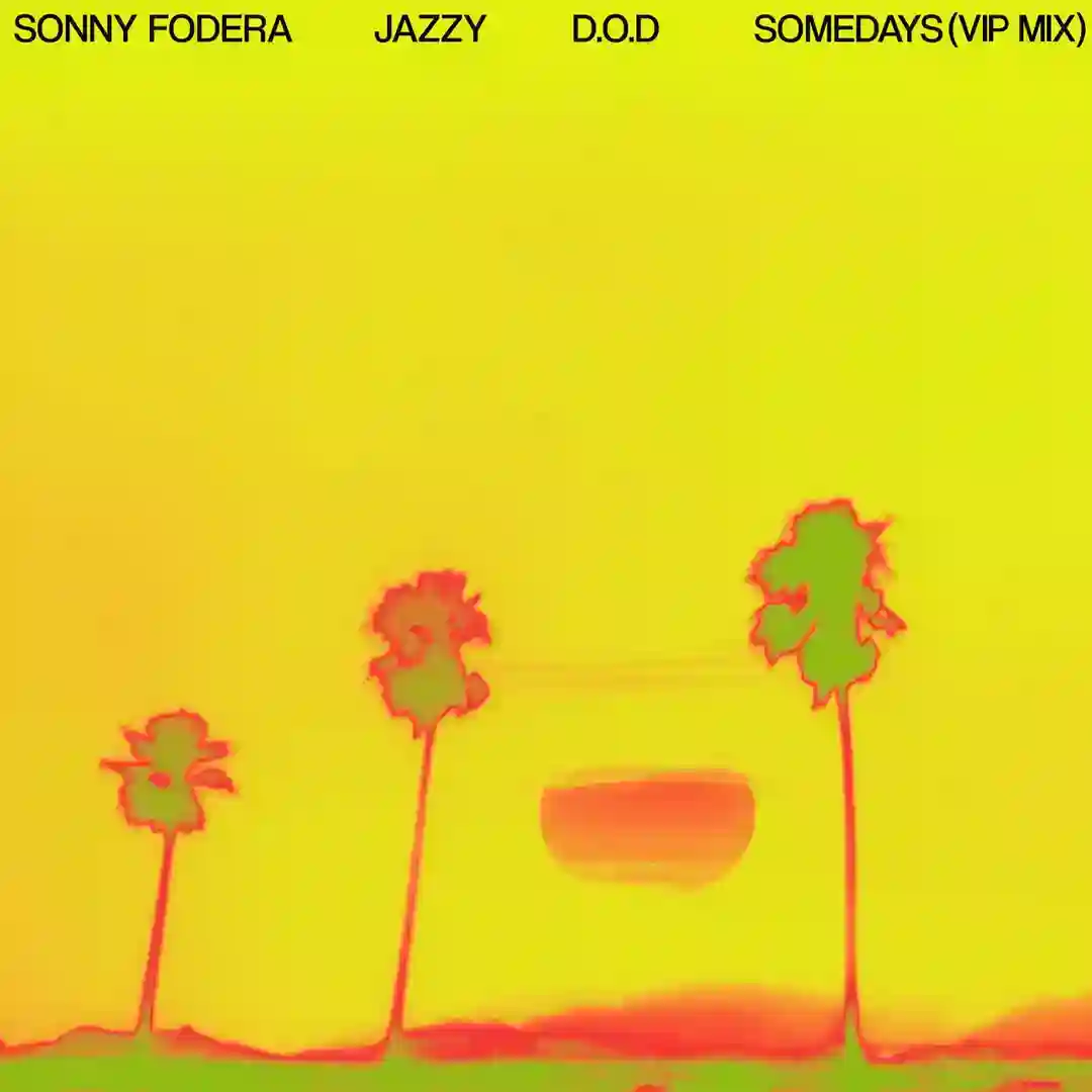 Somedays (VIP Extended Mix) cover