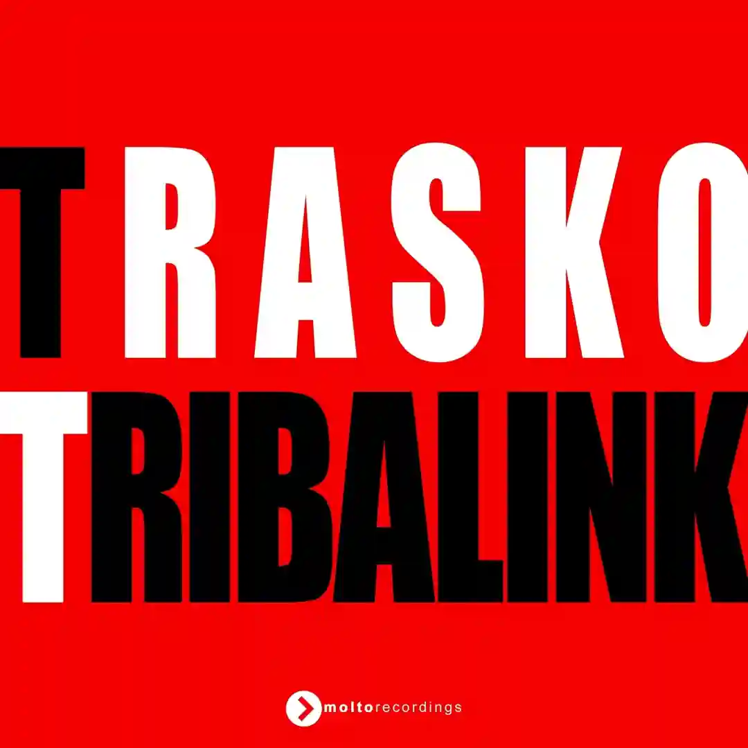 Tribalink (Extended Mix) cover
