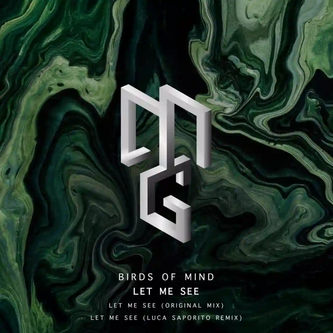 Let Me See (Luca Saporito Remix) cover