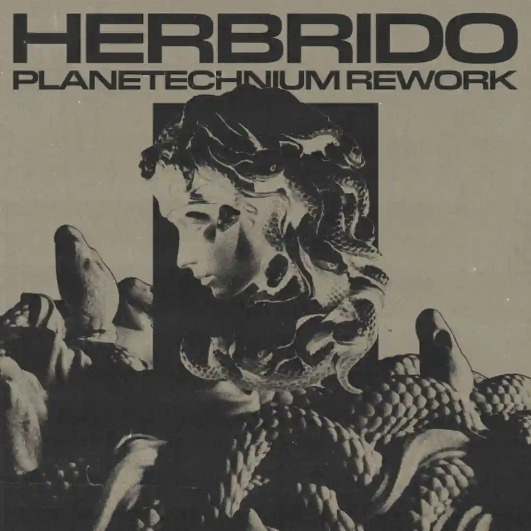 Planetechnium (Rework) cover