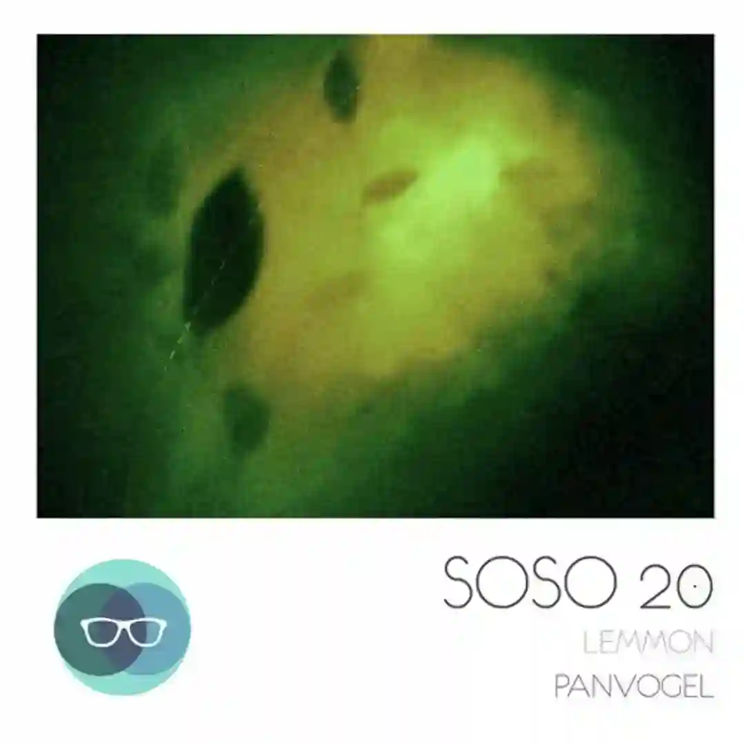 Panvogel (KlangKuenstler Remix) cover