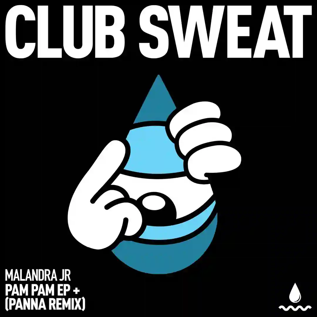 Pam Pam (Panna (BR) Extended Remix) cover