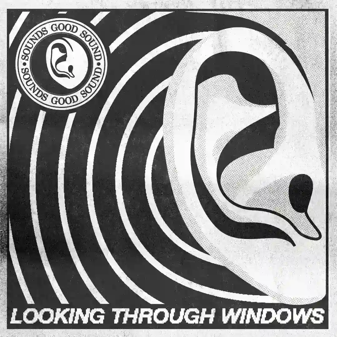 Looking Through Windows cover