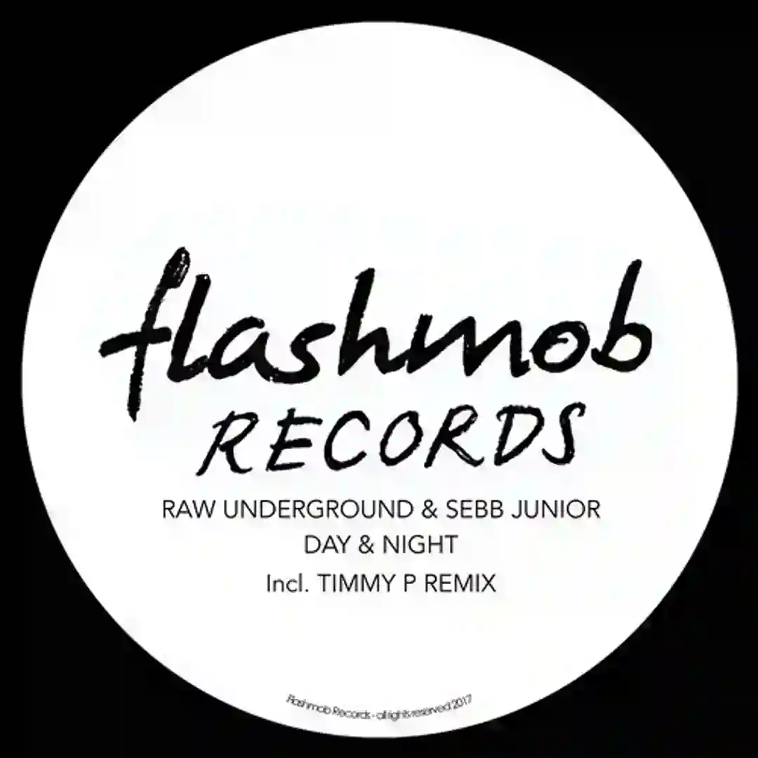 Day & Night (Timmy P Remix) cover